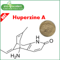 Hierba china Huperzine A serrata extracto Huperzine-A